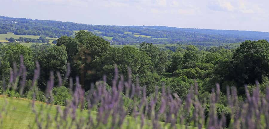 Marcus Grimes Estate Agents, Cuckfield